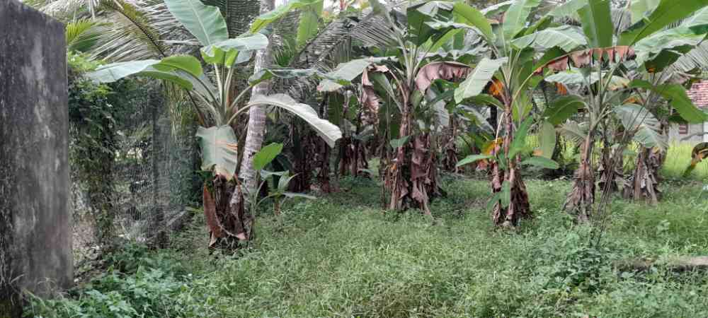Land for sale in kadawatha