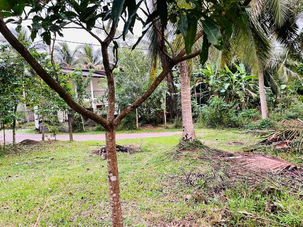 44.5 Perched land 4 sale in maraluwawa kurunegala