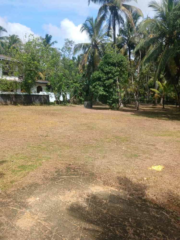 Land for sale in karapitiya