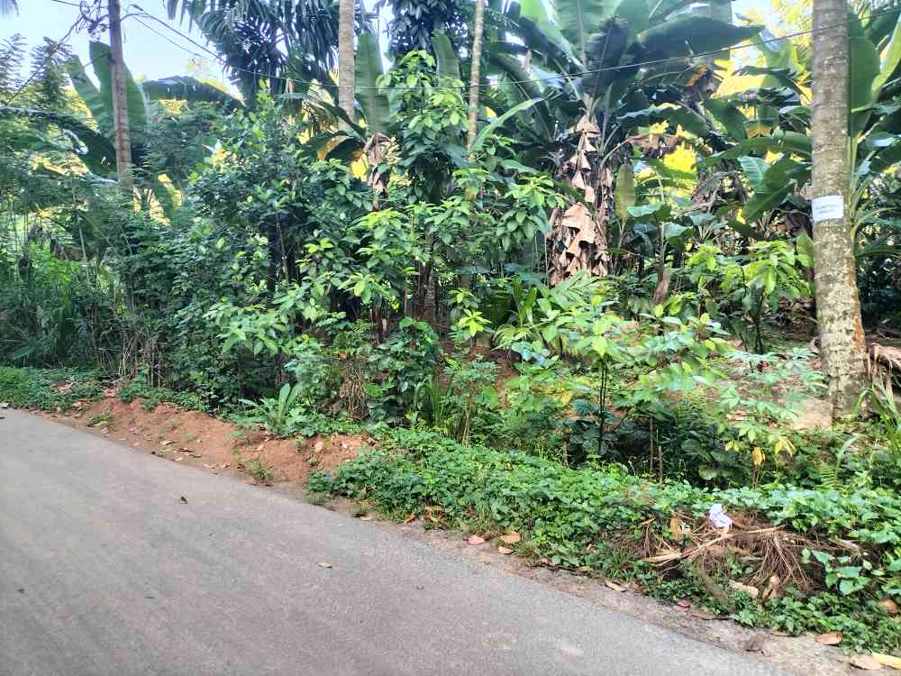Land for sale in peradeniya