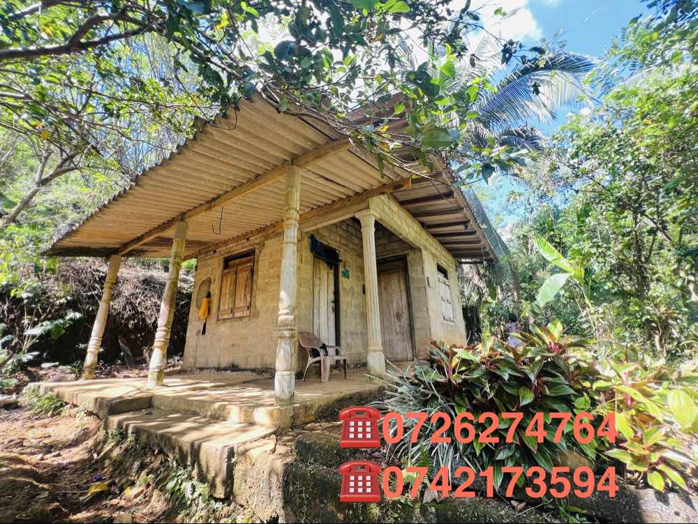 Tea land for sale