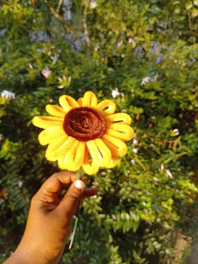 Pipe cleaner flowers