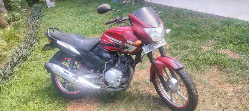 Yamaha YBR