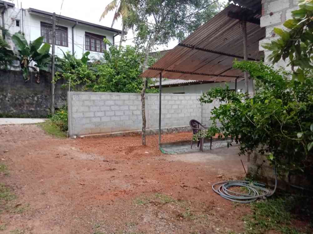 Prime value location