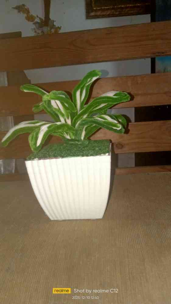Pipe cleaners money plant pots