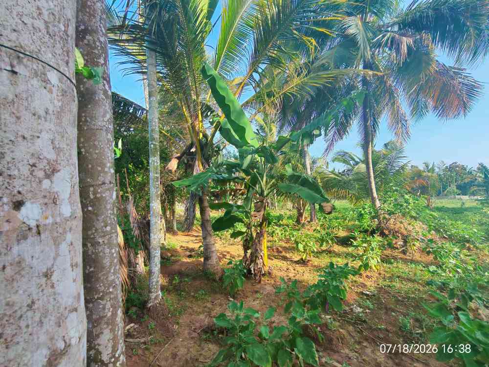 Prime land for sale in hamabanathota