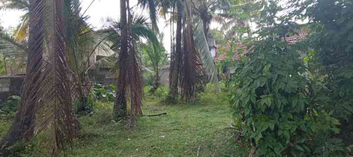 Land for sale in yakkala