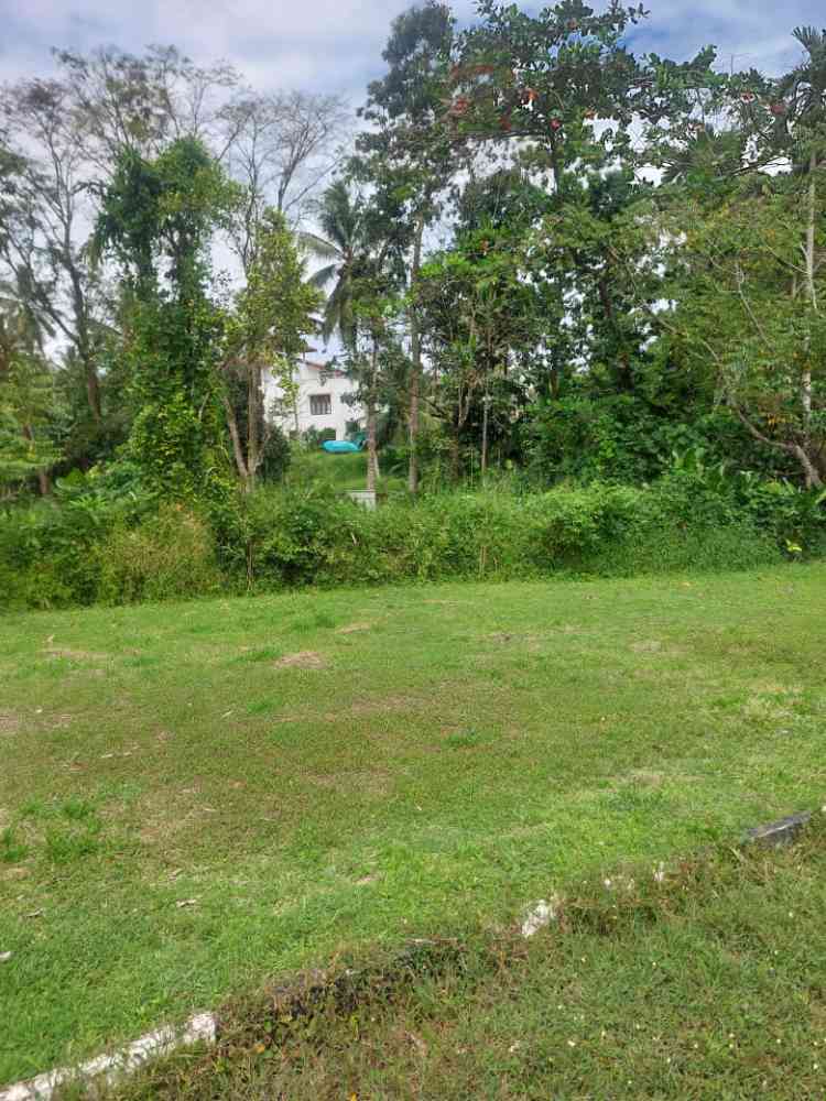 Land for sale in horana