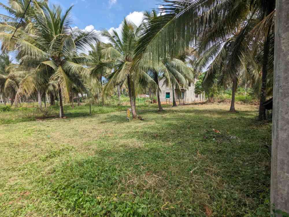 Land for sale in ibbagamuwa