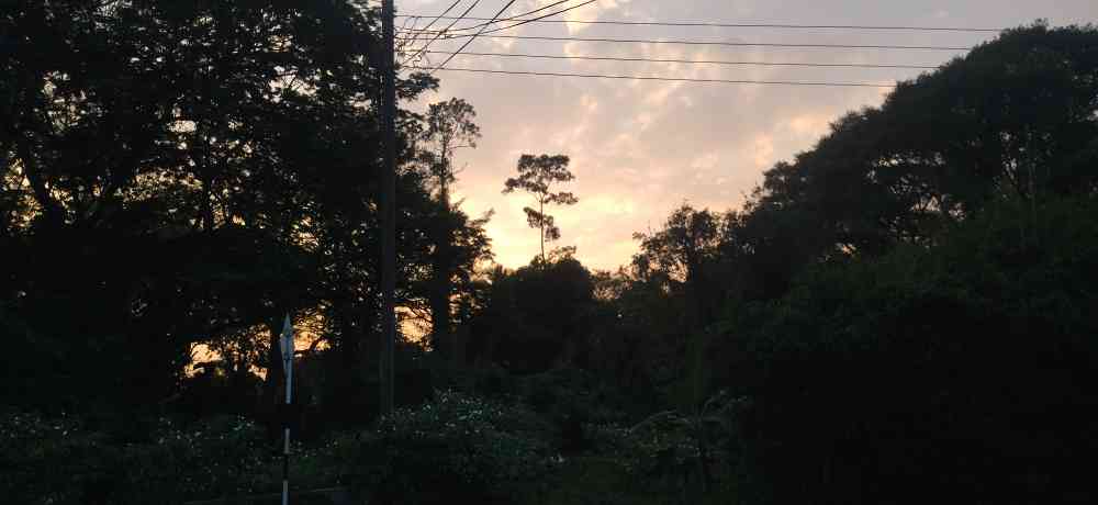 Land for sale in horana