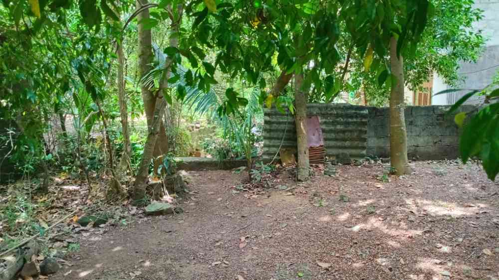 Land for sale in angoda