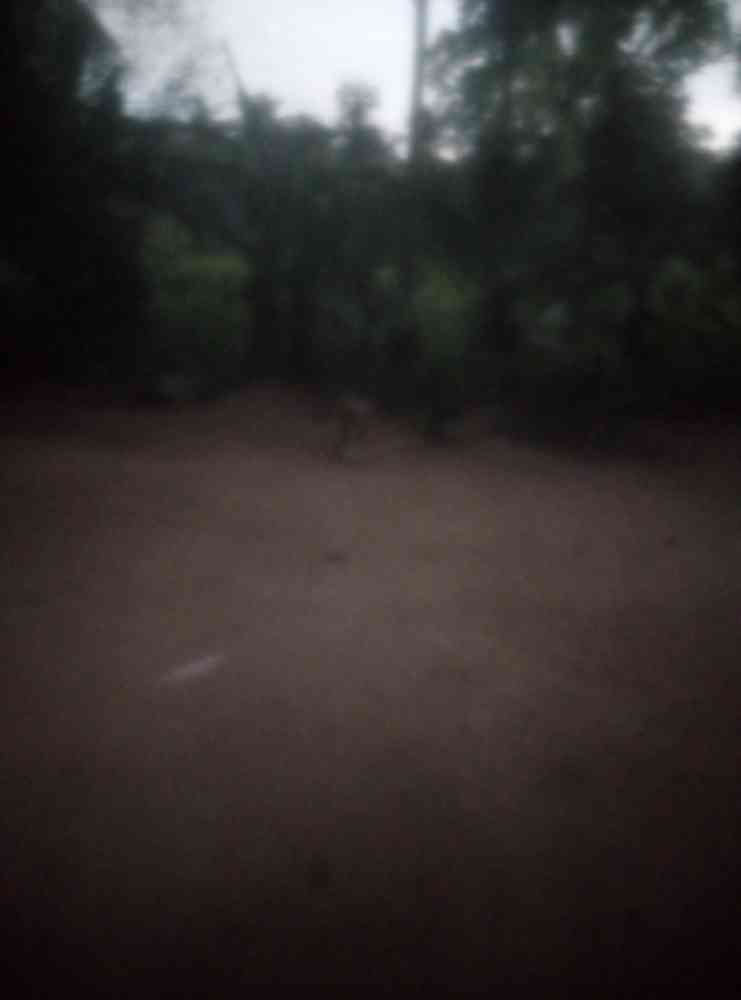Land for sale monaragala towne