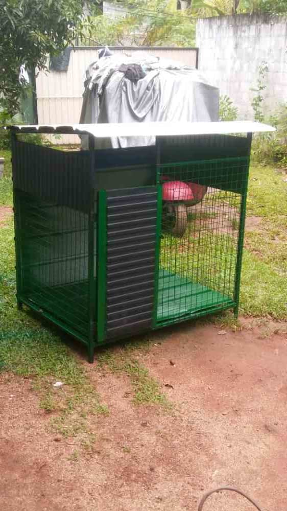 Cage for sale