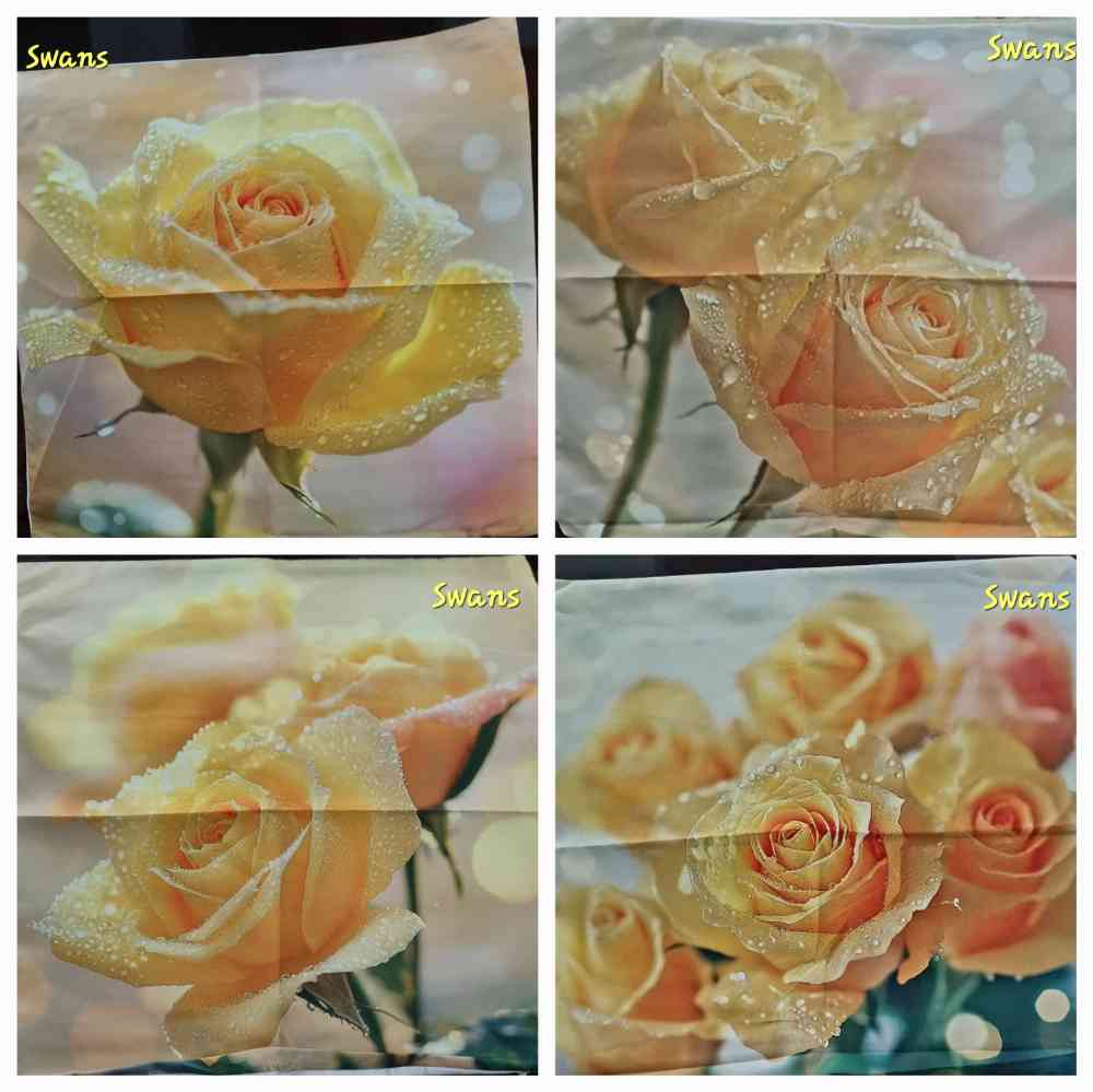 Cushion cover