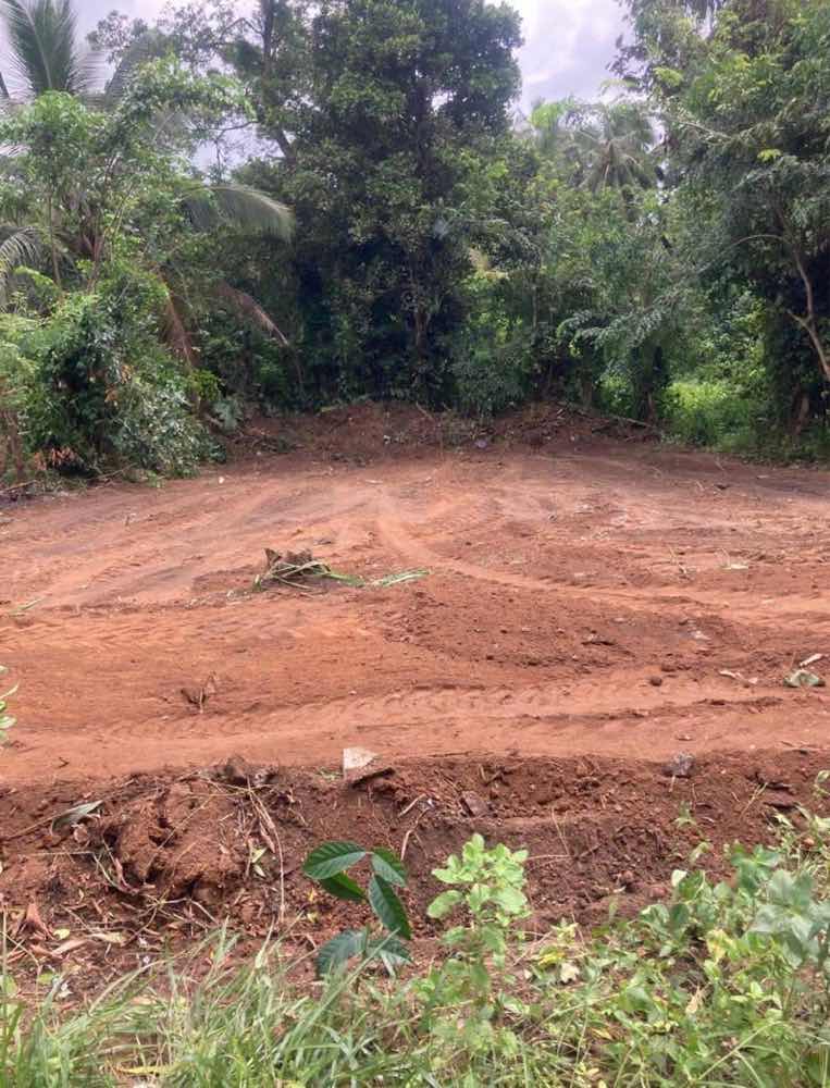 Valuable land for sale in raigama.