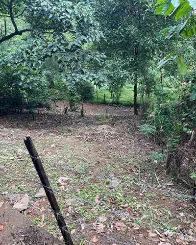 Land for sale in kandy