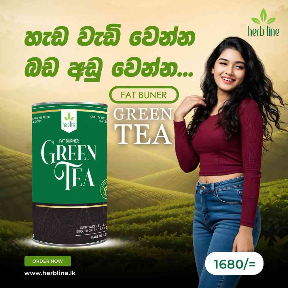 Herbline fat bun green tea