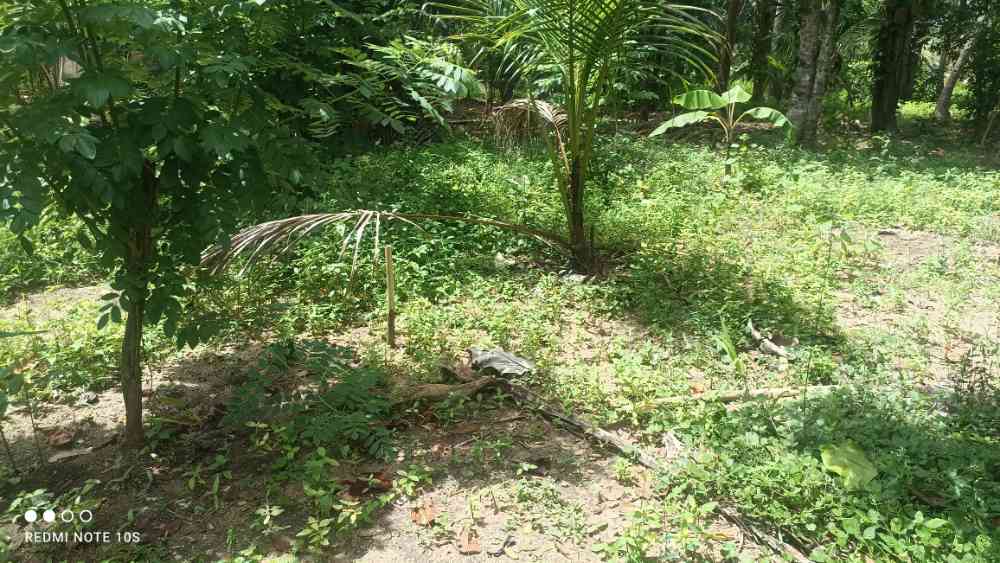 Land for sale in kurunegala