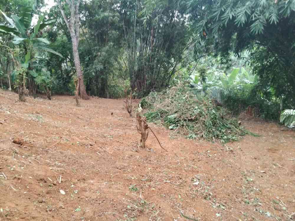 Land for sale in peradeniya
