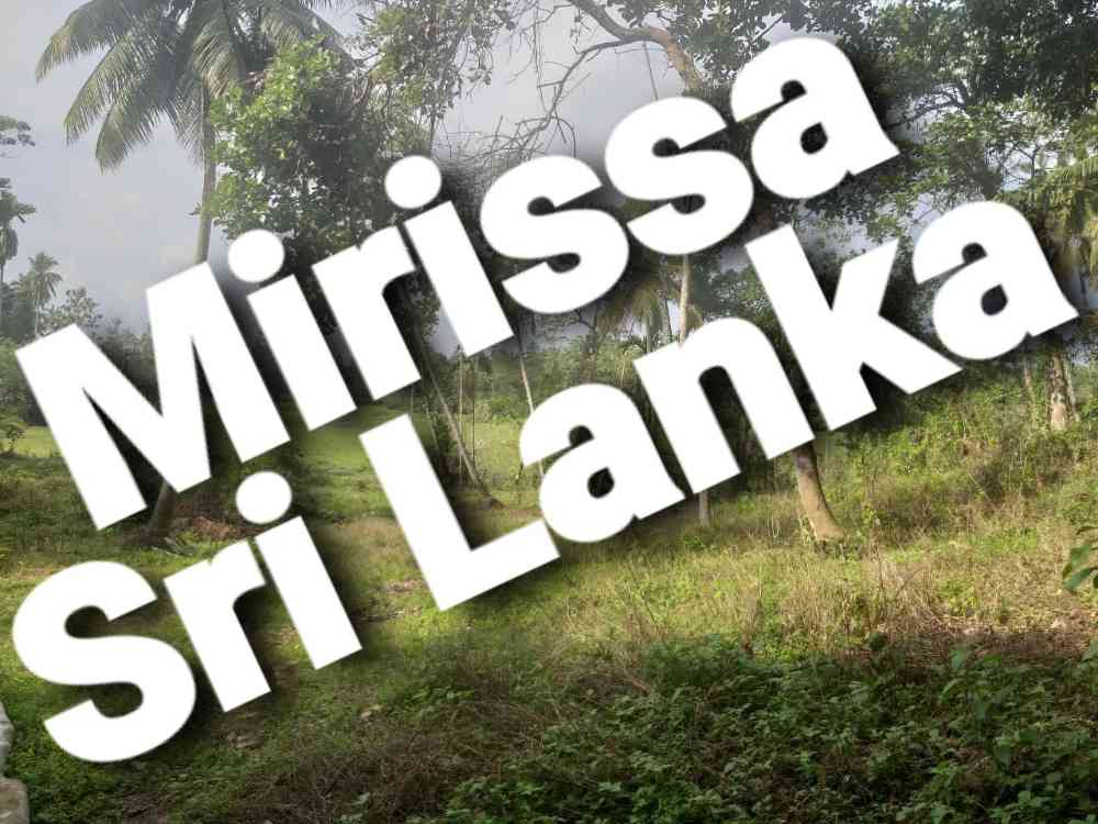 Land for sale in matara