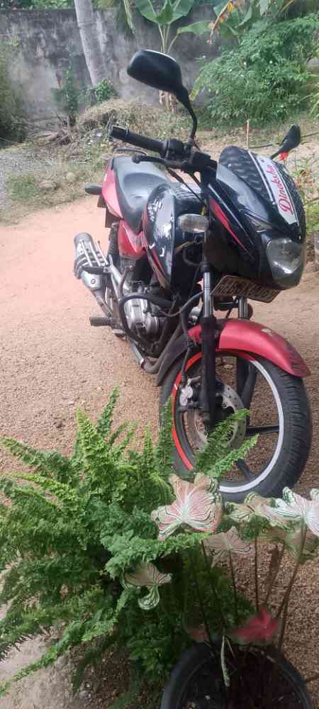 Bajaj pulser
