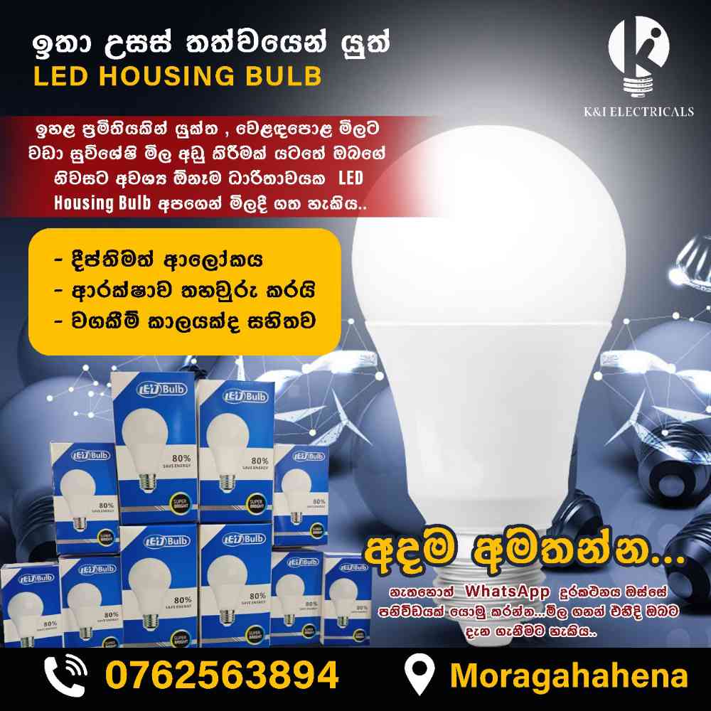 High power house LED bulb