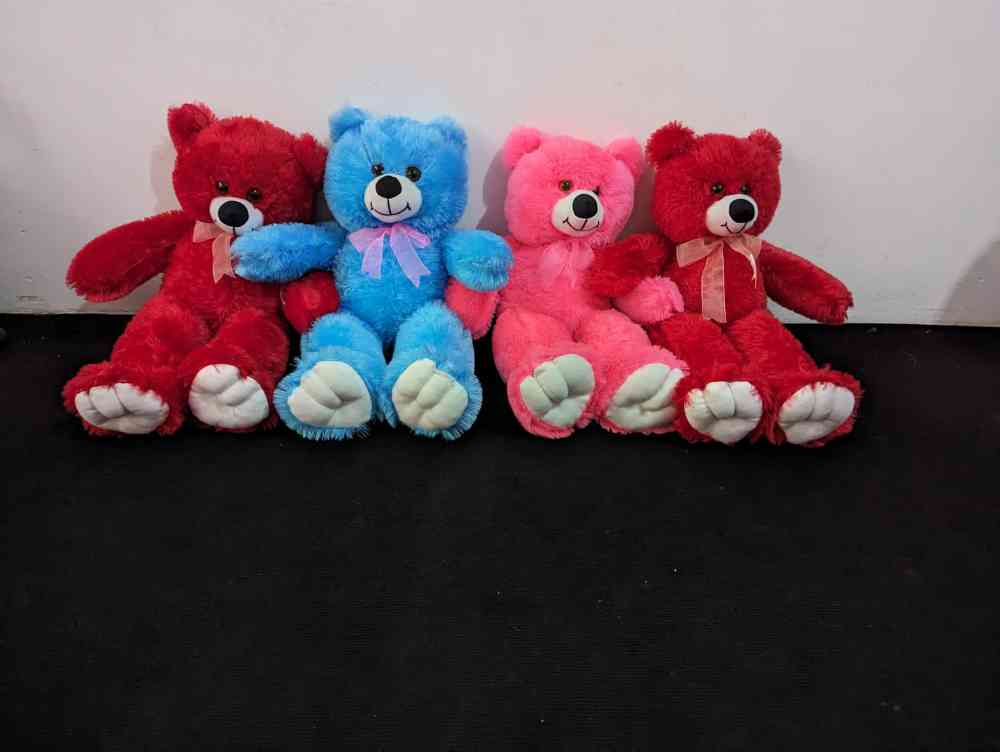 Diyon teddy house 2.5 feet teddy
