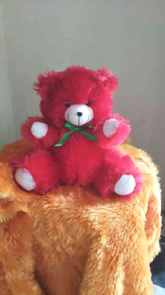 Teddy bear
