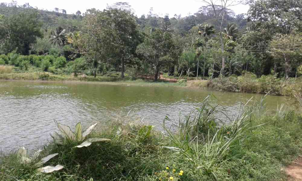 Land for sale in balangoda