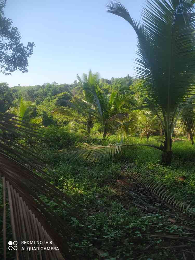 Land for sale in thihariya