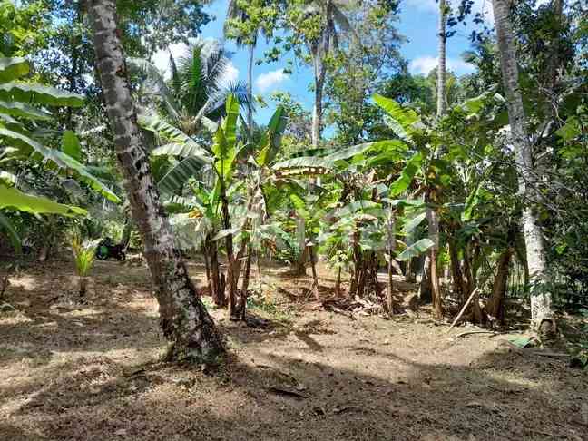 Land for sale in udugampola