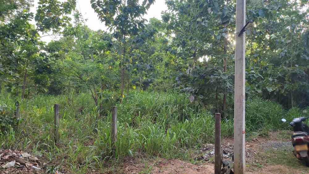 Highly residential land in anuradhapura city