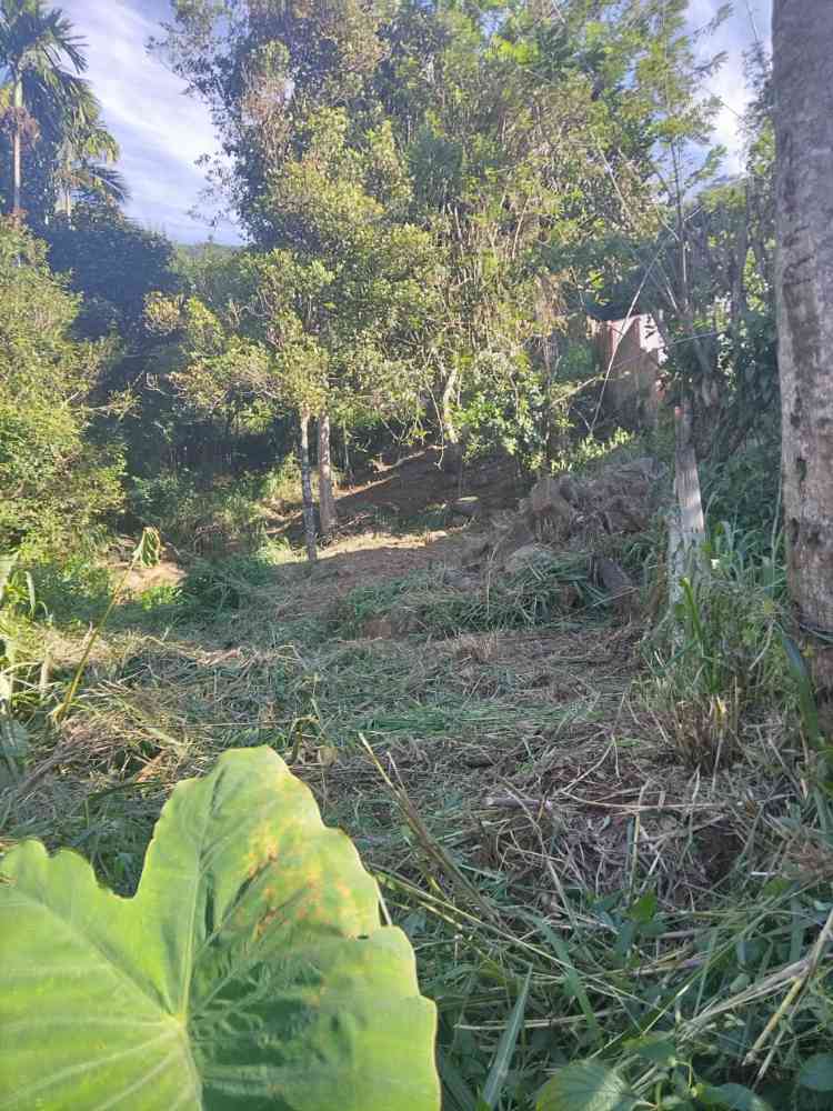 Land for sale in kandy