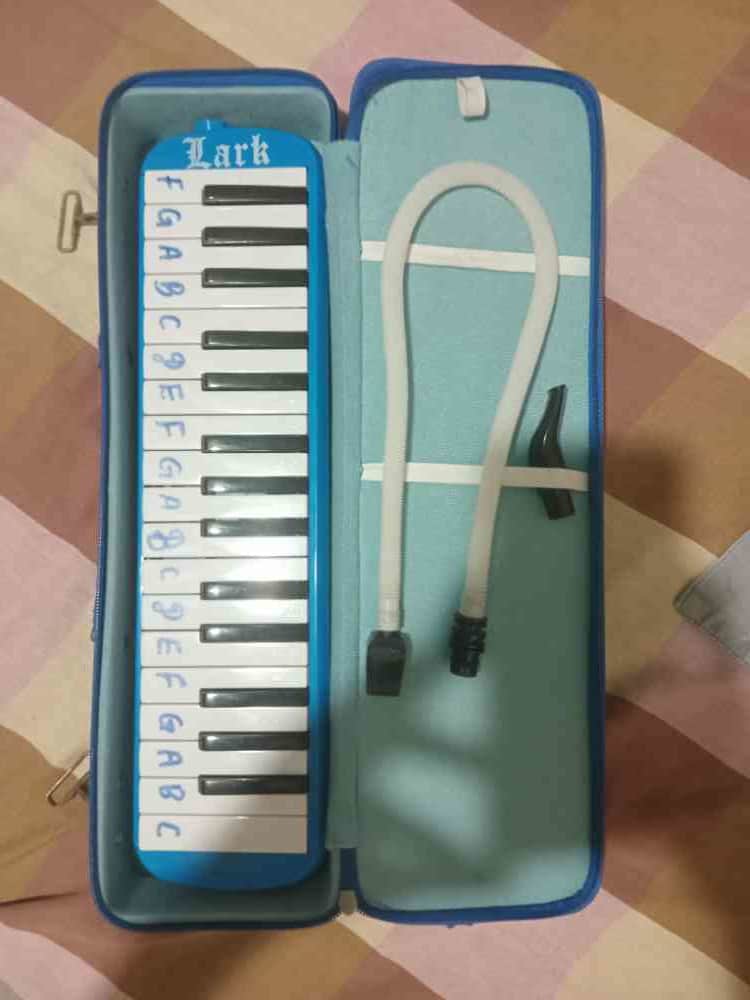 Lark melodica
