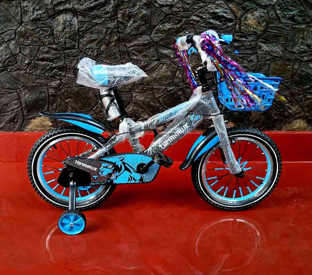 Tomohawk bicycles size 16