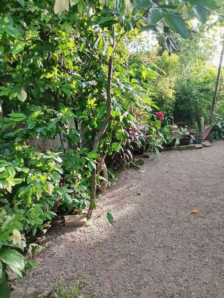 Land for sale in angoda