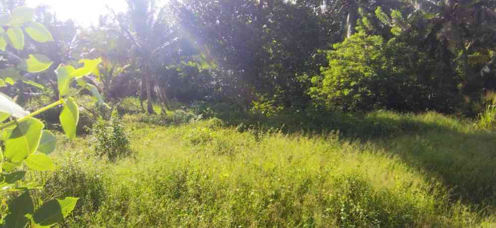 Land for sale kahathuduwa