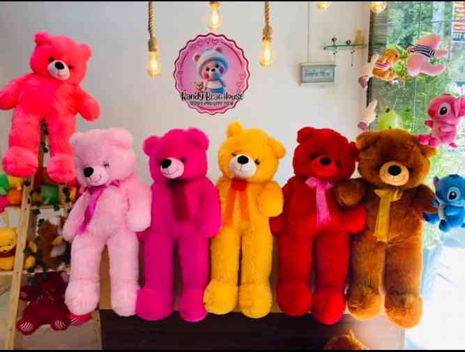 3.5 Feet teddy bear