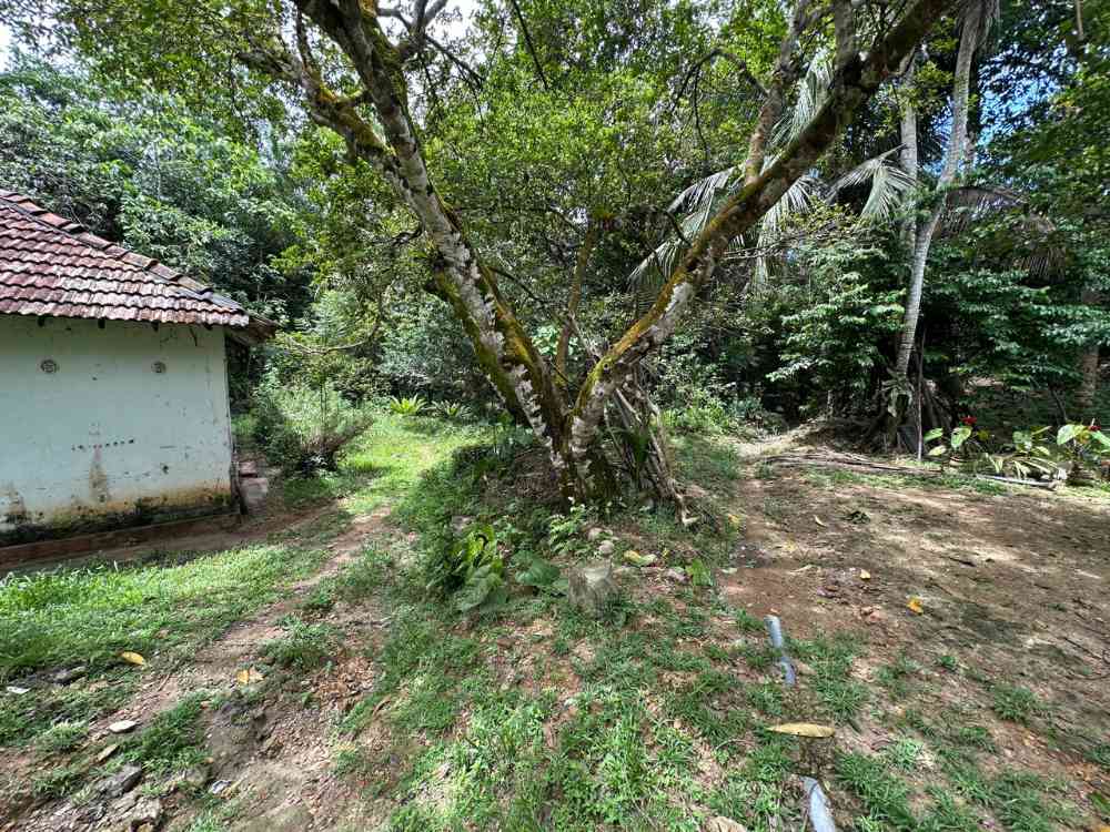 Land for sale in galle