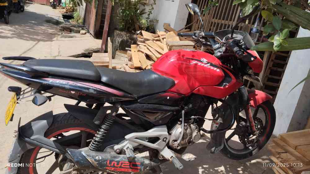 Pulser 135 ls