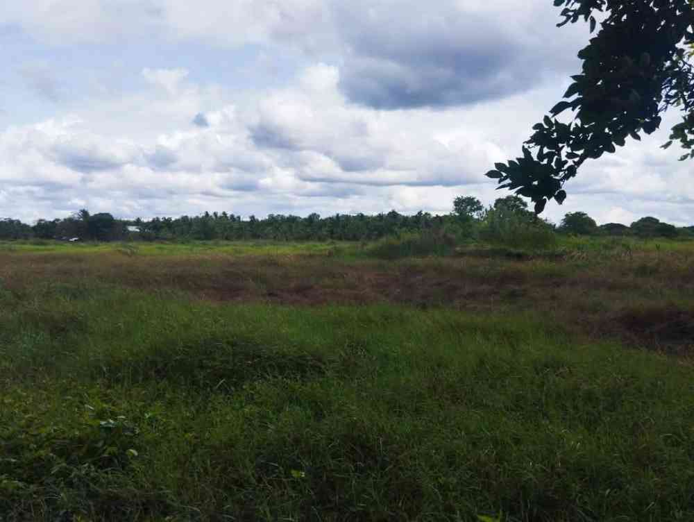 Land that can be cultivated on both land and mud