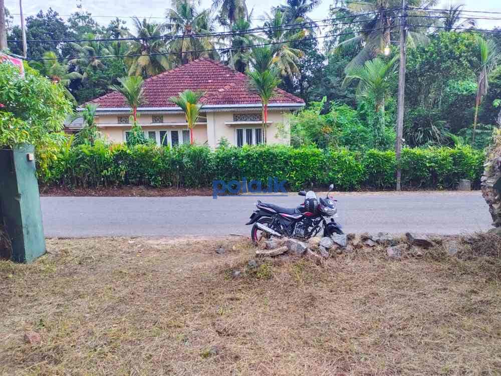 Land for sale in kottawa - photo 2