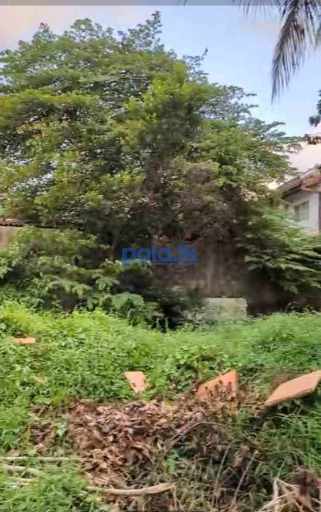 Land for sale in nugegoda - photo 3