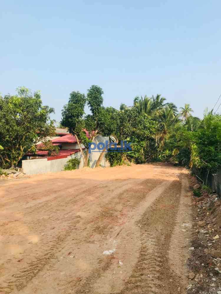 Land for sale in angoda walpola main road - photo 5