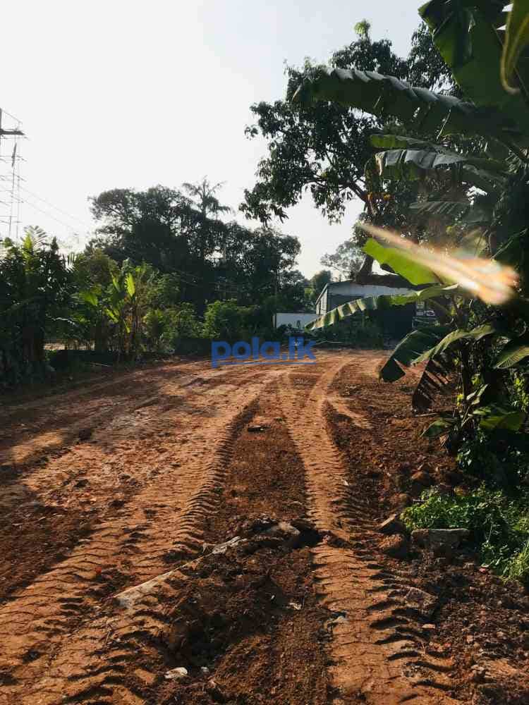 Land for sale in angoda walpola main road - photo 7