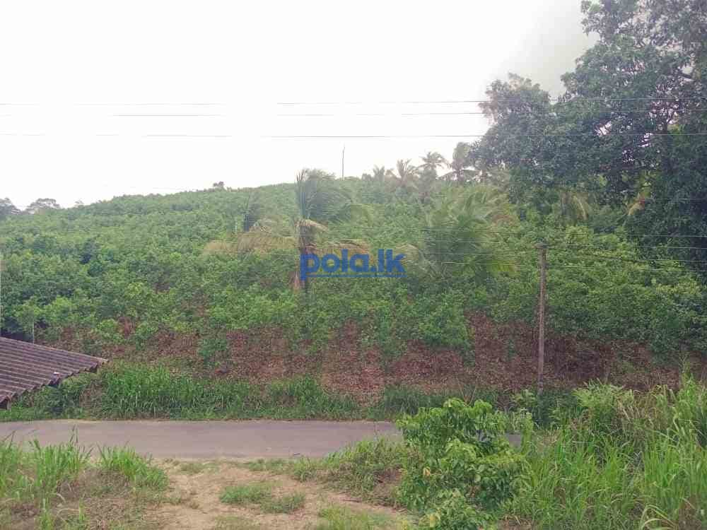 Land for sale in beliatta - photo 2