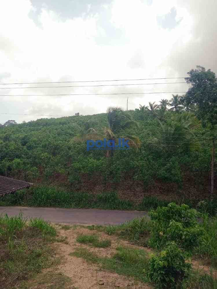 Land for sale in beliatta - photo 4