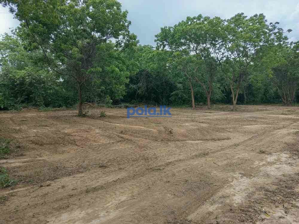 Land for sale in tangalle - photo 2