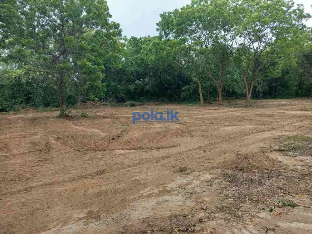 Land for sale in tangalle - photo 4