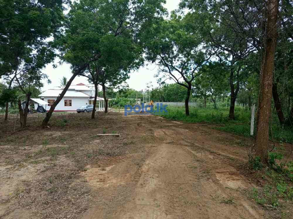 Land for sale in tangalle - photo 3